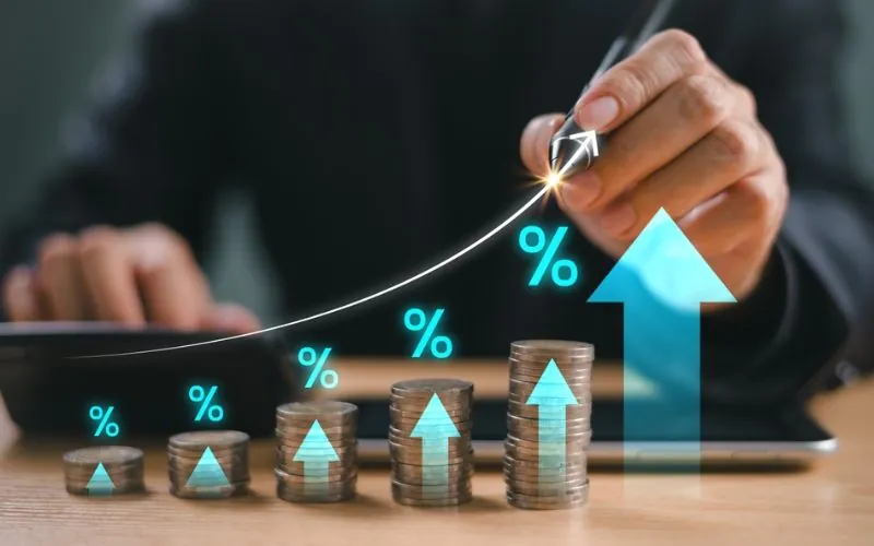 Hình ảnh minh họa phân tích kê chiến trước trận đấu đá gà